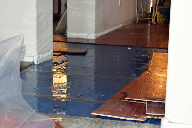 Professional Basement Flood Cleanup technician working in Tyndall, SD